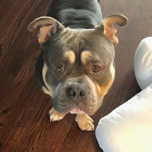 Meet your Posher, Robert